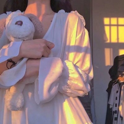 少女大盗封面