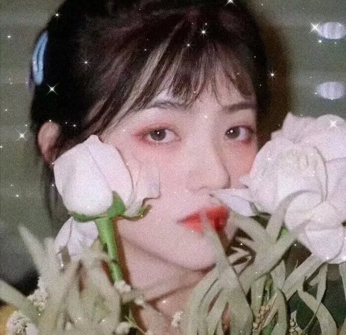 熏制生活封面
